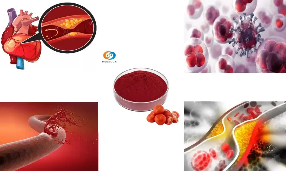 Lycopene Powder and Heart Health: What You Need to Know